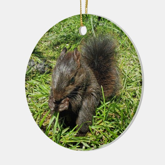 Eichhörnchen Keramik Ornament (Links)