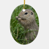 Eichhörnchen Keramik Ornament (Vorne)