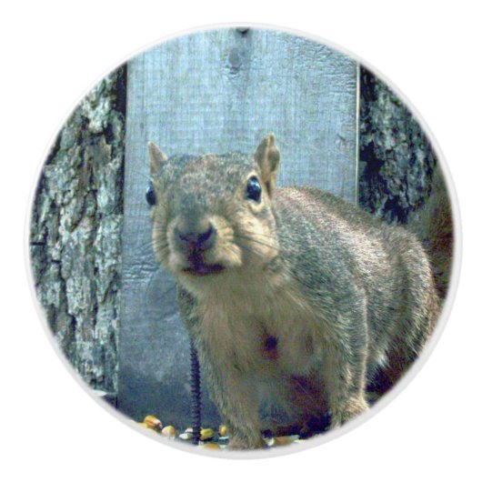Eichhörnchen Keramikknauf (Vorderseite)