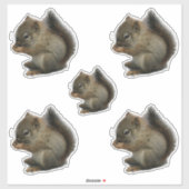 Eichhörnchen Kitten Stickers Aufkleber (Blatt)