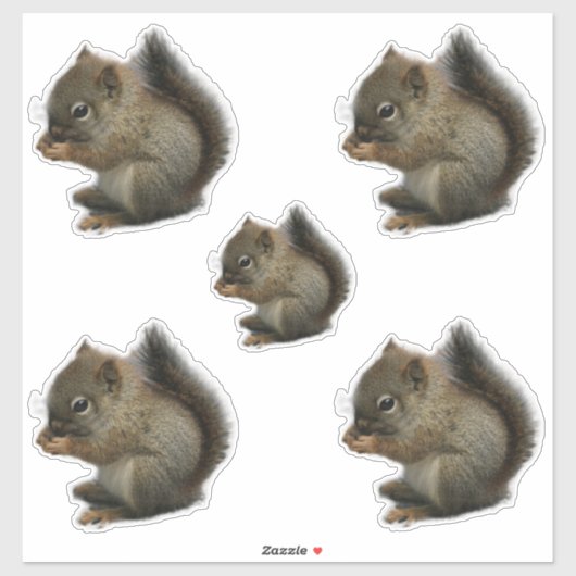 Eichhörnchen Kitten Stickers Aufkleber (Blatt)