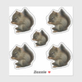 Eichhörnchen Kitten Stickers Aufkleber (Blatt)