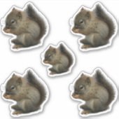 Eichhörnchen Kitten Stickers Aufkleber (Vorderseite)