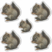 Eichhörnchen Kitten Stickers Aufkleber (Vorderseite)