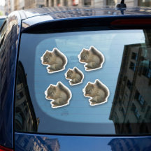 Eichhörnchen Kitten Stickers