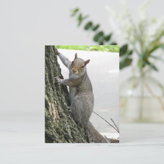 Eichhörnchen Kletterbaum Postkarte (Stehend Vorderseite)