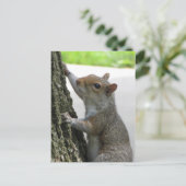 Eichhörnchen Kletterbaum Postkarte (Stehend Vorderseite)
