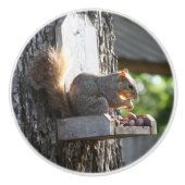 Eichhörnchen Knobs Keramikknauf (Vorderseite)