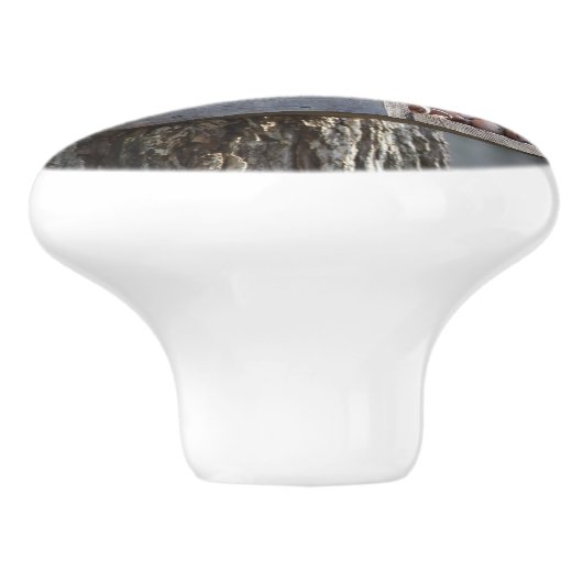 Eichhörnchen Knobs Keramikknauf (Seitenansicht)