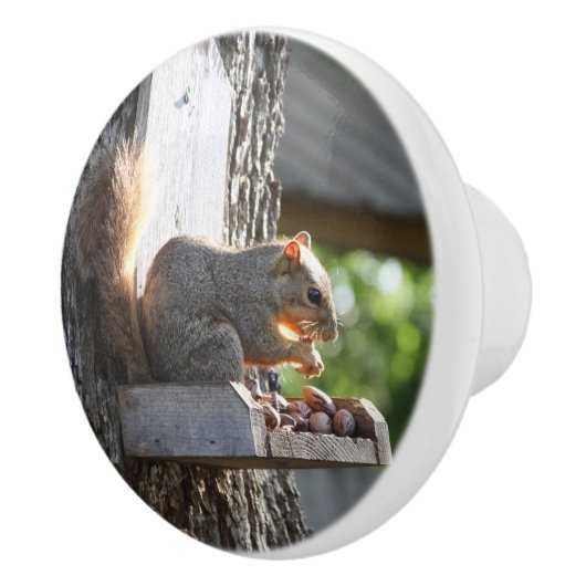 Eichhörnchen Knobs Keramikknauf (Rechts)