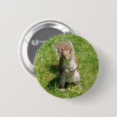 Eichhörnchen-Knopf Button (Vorne & Hinten)