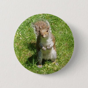 Eichhörnchen-Knopf Button