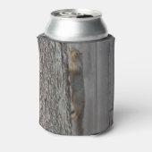 Eichhörnchen können kühlen dosenkühler (Kanne Rückseite)