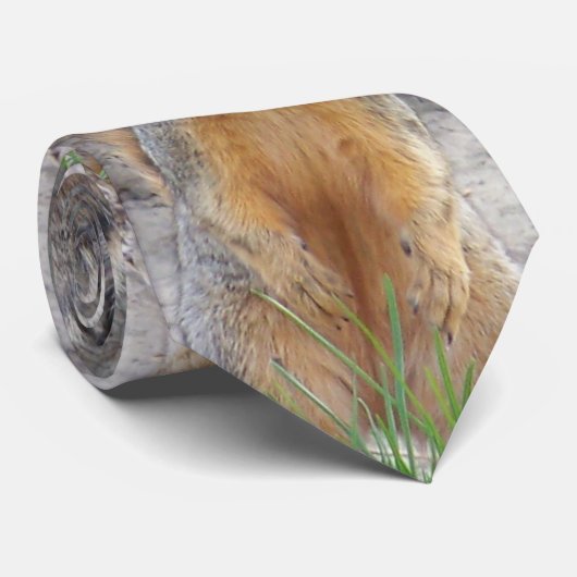 Eichhörnchen-Krawatte Krawatte (Gerollt)