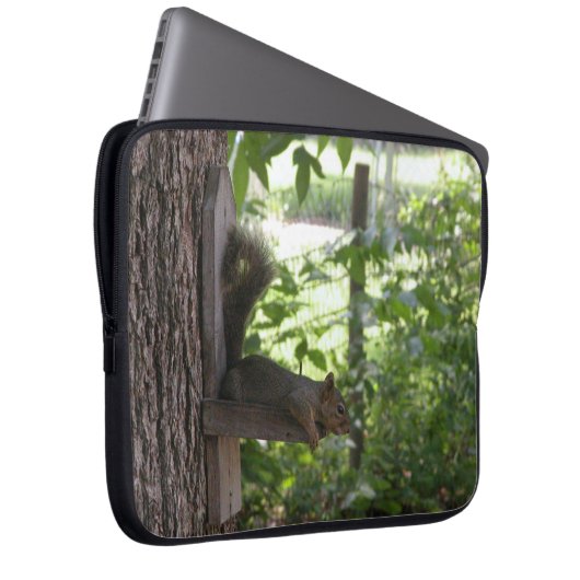 Eichhörnchen Laptop-Ärmel Laptopschutzhülle (Vorne Rechts)