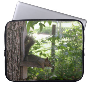 Eichhörnchen Laptop-Ärmel Laptopschutzhülle