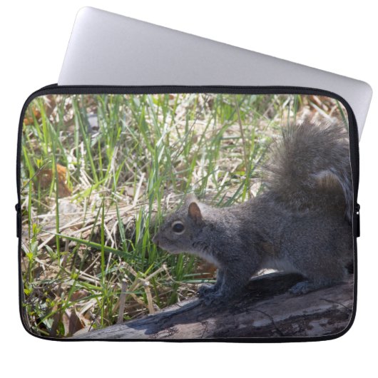 Eichhörnchen Laptopschutzhülle (Vorderseite)