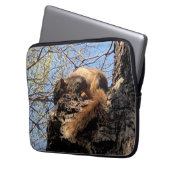 Eichhörnchen Laptopschutzhülle (Vorderseite Links)