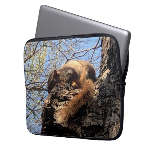 Eichhörnchen Laptopschutzhülle (Vorderseite Links)