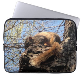 Eichhörnchen Laptopschutzhülle