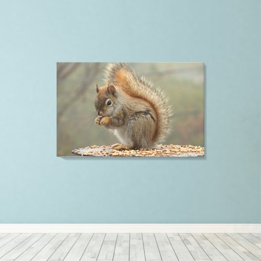 Eichhörnchen Leinwanddruck (Insitu (Holzboden))
