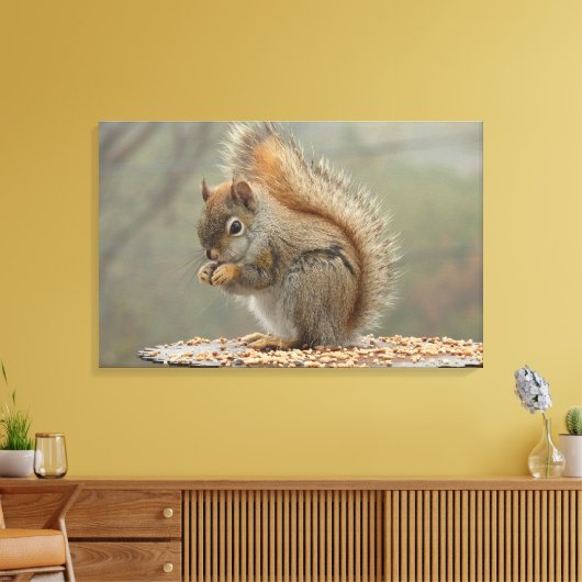 Eichhörnchen Leinwanddruck (Insitu (Wohnzimmer))