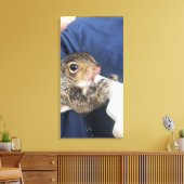 Eichhörnchen Leinwanddruck (Insitu (Wohnzimmer))