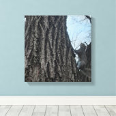 Eichhörnchen Leinwanddruck (Insitu (Holzboden))