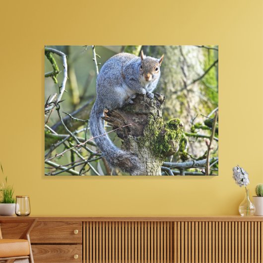 Eichhörnchen Leinwanddruck (Insitu (Wohnzimmer))