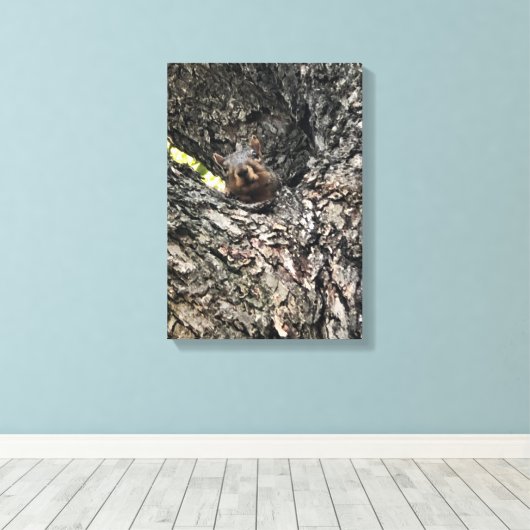 Eichhörnchen Leinwanddruck (Insitu (Holzboden))