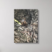 Eichhörnchen Leinwanddruck (Vorderseite)