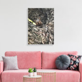 Eichhörnchen Leinwanddruck (Insitu (Wohnzimmer))