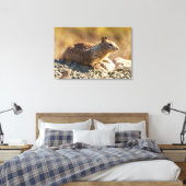 Eichhörnchen Leinwanddruck (Insitu (Schlafzimmer))