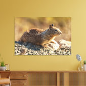 Eichhörnchen Leinwanddruck (Insitu (Wohnzimmer))