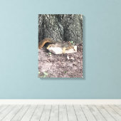 Eichhörnchen Leinwanddruck (Insitu (Holzboden))
