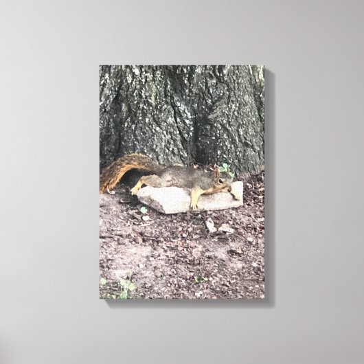 Eichhörnchen Leinwanddruck (Vorderseite)