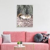 Eichhörnchen Leinwanddruck (Insitu (Wohnzimmer))