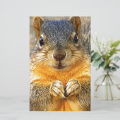 Eichhörnchen-Liebe_ Briefpapier (Stehend Vorderseite)