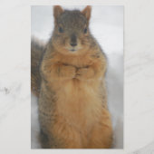 Eichhörnchen-Liebe Briefpapier (Vorderseite)