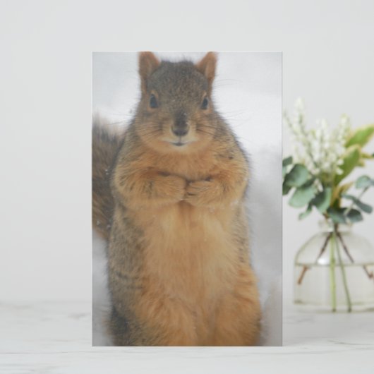 Eichhörnchen-Liebe Briefpapier (Stehend Vorderseite)
