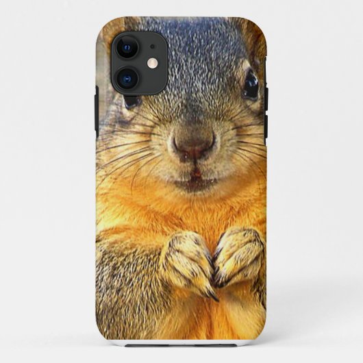 Eichhörnchen-Liebe_ Case-Mate iPhone Hülle (Rückseite)