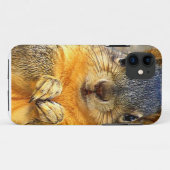 Eichhörnchen-Liebe_ Case-Mate iPhone Hülle (Rückseite (Horizontal))