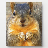 Eichhörnchen-Liebe_ Fotoplatte (Vorderseite)