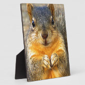Eichhörnchen-Liebe_ Fotoplatte (Seite)