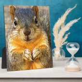 Eichhörnchen-Liebe_ Fotoplatte (Seite)