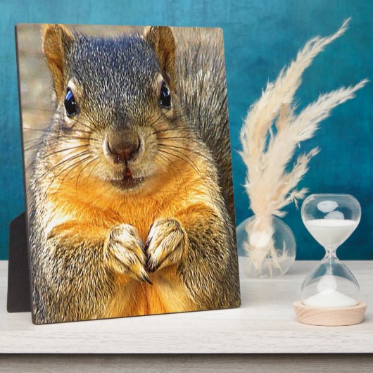 Eichhörnchen-Liebe_ Fotoplatte (Seite)