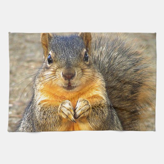 Eichhörnchen-Liebe_ Handtuch (Horizontal)