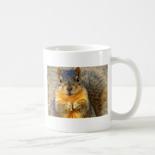 Eichhörnchen-Liebe_ Kaffeetasse