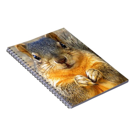 Eichhörnchen-Liebe_ Notizblock (Rechte Seite)