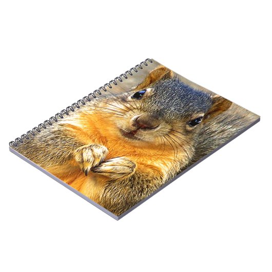 Eichhörnchen-Liebe_ Notizblock (Linke Seite)